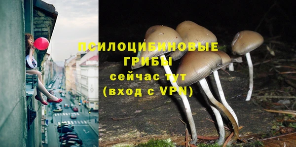 ECSTASY Володарск